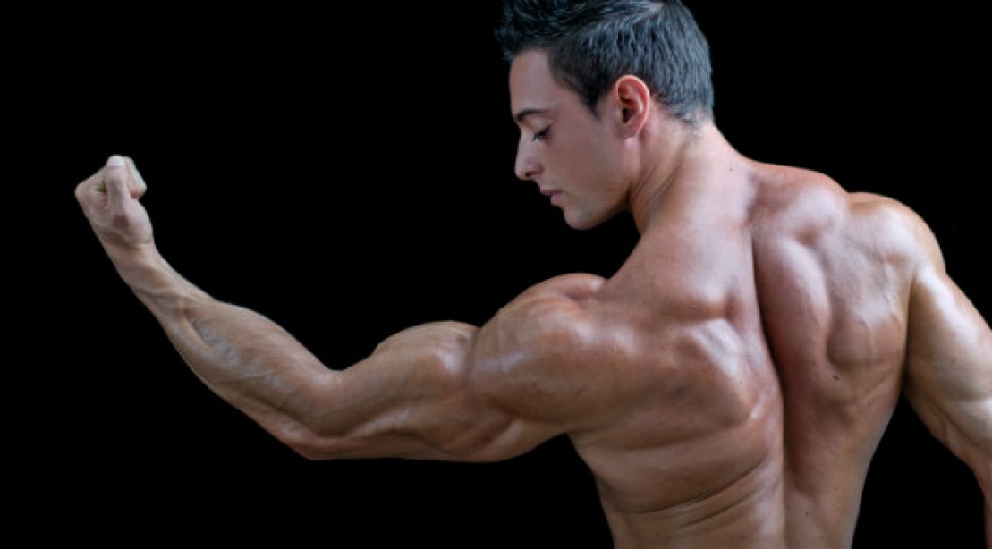 Arm Workout The Big Arms Solution Muscle & Fitness